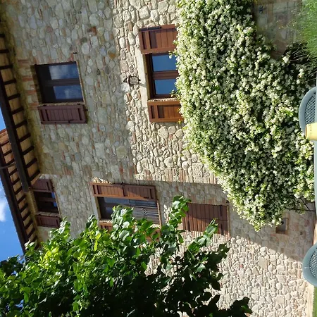 Agroturismo La Torraccia