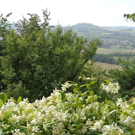 Agroturismo La Torraccia *